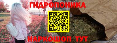jwh Будённовск