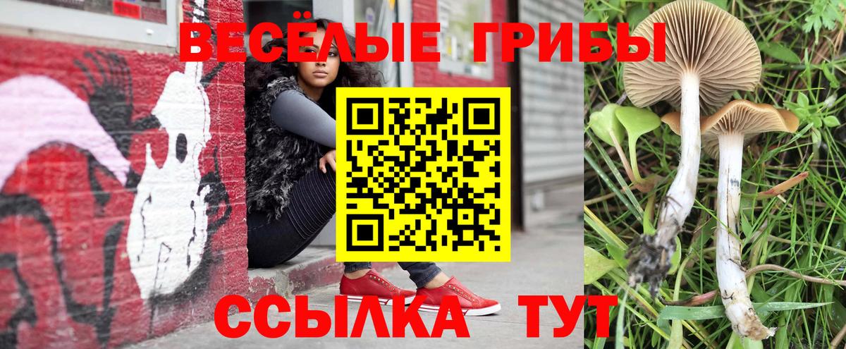 Галлюциногенные грибы Cubensis Мыски
