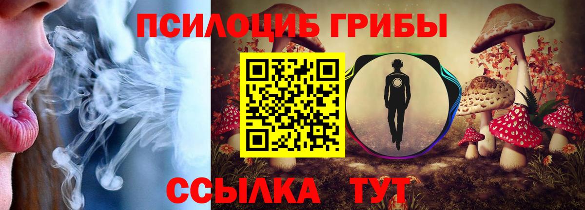 Галлюциногенные грибы ЛСД  Вход с VPN  Мыски  Псилоцибиновые грибы мицелий 