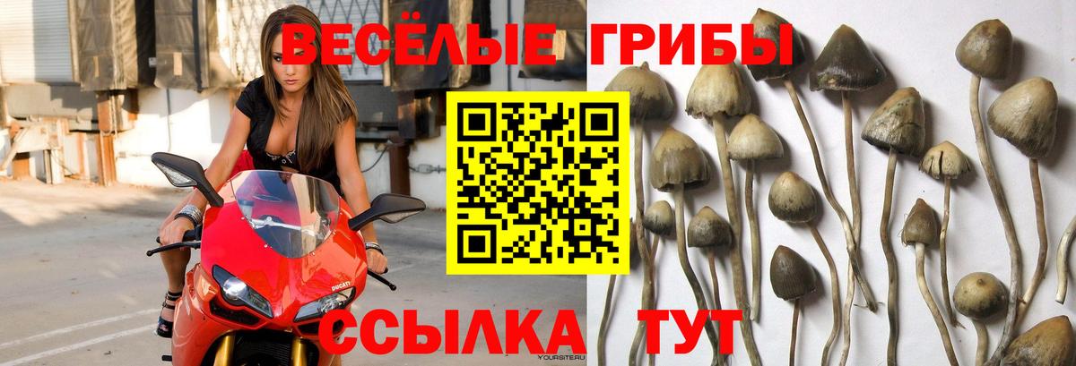 ГАШИШ  ТГК  Мефедрон   Мыски  Вход с VPN  Гашиш  Марихуана  Кокаин  АМФЕТАМИН кристаллы  Мефедрон 